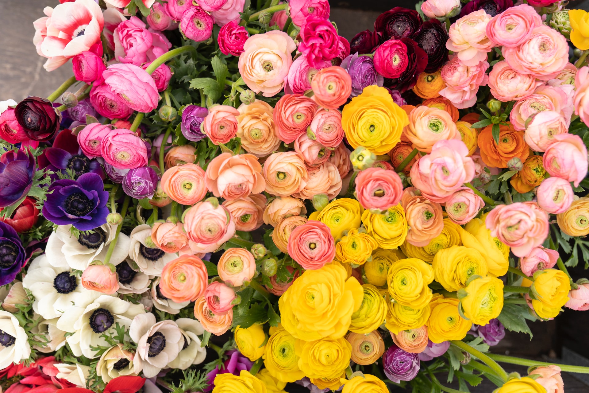 Surprise Mom With Fresh Blooms From House of Flowers